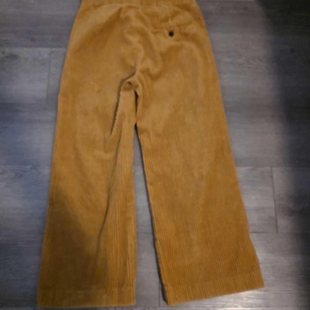 Zara Kids Corduroy Pants in Brown